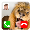 Video Call Prank Tiger APK