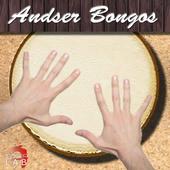 Andser Bongos icon