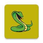 Snake Game - Play Snake Game icône