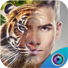 InstaFace Animal face morphing-icoon