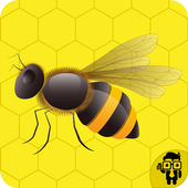 Trap The Bee icon