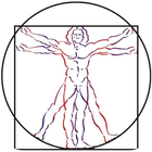 Muscle Anatomy-icoon