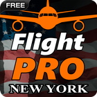Pro Flight Simulator 2 - New Y 아이콘