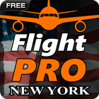Pro Flight Simulator 2 - New Y أيقونة