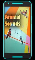 Animal Sounds Ringtones ♪ Affiche