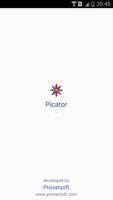 Picator - Profile Picture Flag poster