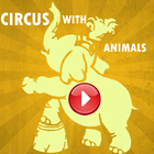 Circus Show Animals Videos icono