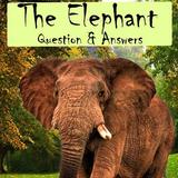 Elephant Facts Q&A for Kids icon