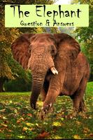 Elephant Facts Q&A for Kids পোস্টার