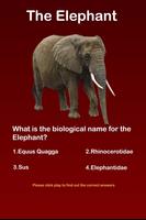 Elephant Facts Q&A for Kids imagem de tela 1