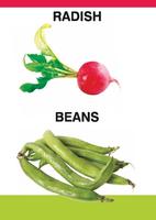 PreSchool Book - Vegetables скриншот 2