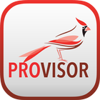 Icona Provisor Group