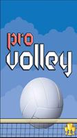 Pro Volley 포스터