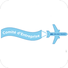 CE ASL AIRLINES FR icon