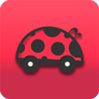 Buggy Rides icon