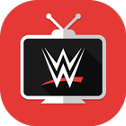 Icona Watch WWE TV Pro