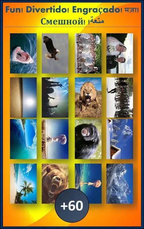 Fun background changer APK for Android Download Fun background changer APK for Android Download