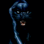 Big Cat आइकन