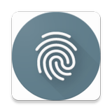 Icona Fingerprint Auth Helper Demo