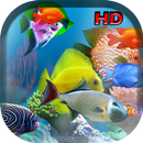 APK aniPet Aquarium Live Wallpaper