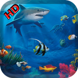 Sea Aquarium Live Wallpaper