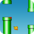 Bloody Bird