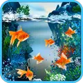 Real Fish Live Wallpaper