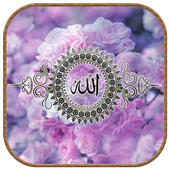 Allah Wallpapers HD icon