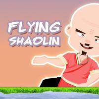 Flying Shaolin Affiche