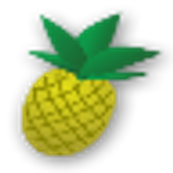 Pineapple Farm