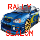 Rally Slalom APK