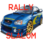Rally Slalom icône
