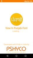 View In Punjabi Font poster