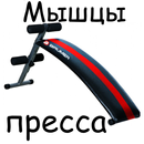 APK Мышцы пресса