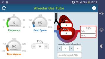 Alveolar Gas Tutor постер