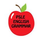 PSLE English Grammar आइकन
