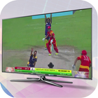 PTV Sports PSL Live Streaming 2018 Live Cricket TV ikon