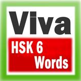 Viva HSK 6급 단어 icône