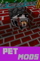 Pet MODS PE Affiche