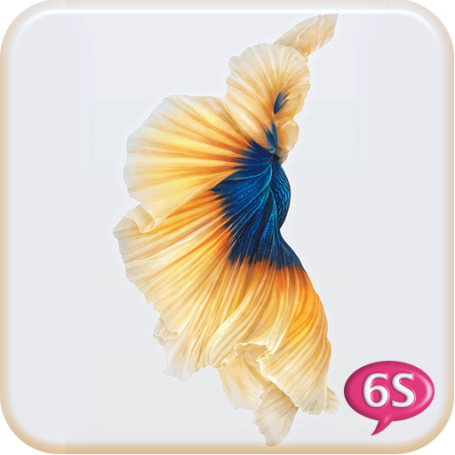 Betta Fish 6S Live Wallpaper