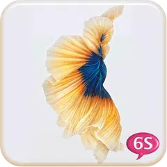 Betta Fish 6S Live Wallpaper APK download