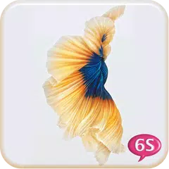 Betta Fish 6S Live Wallpaper