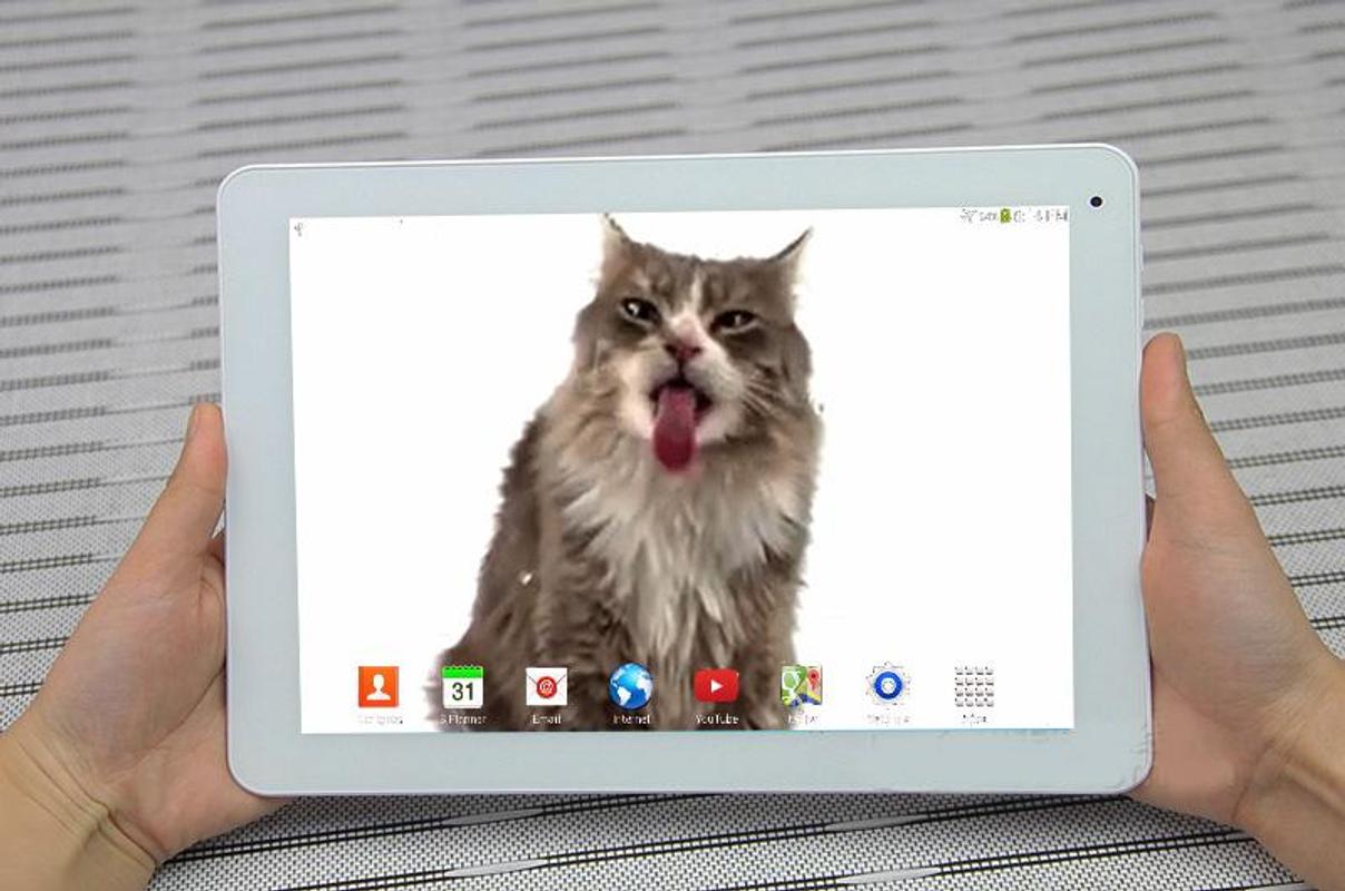 Cute Cat Licking Screen for Android - APK Download