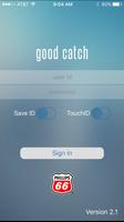Good Catch poster