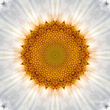 Психология и саморазвитие