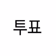 투표