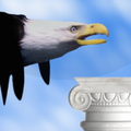Relax and Flappy Like a Bird