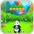 Latest Panda Pop Guide