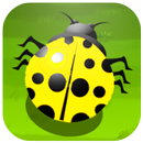 Fun Beetle Game APK