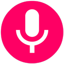Voice Recorder APK